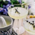 Lemon lavender gin cocktail in a coupe glass.