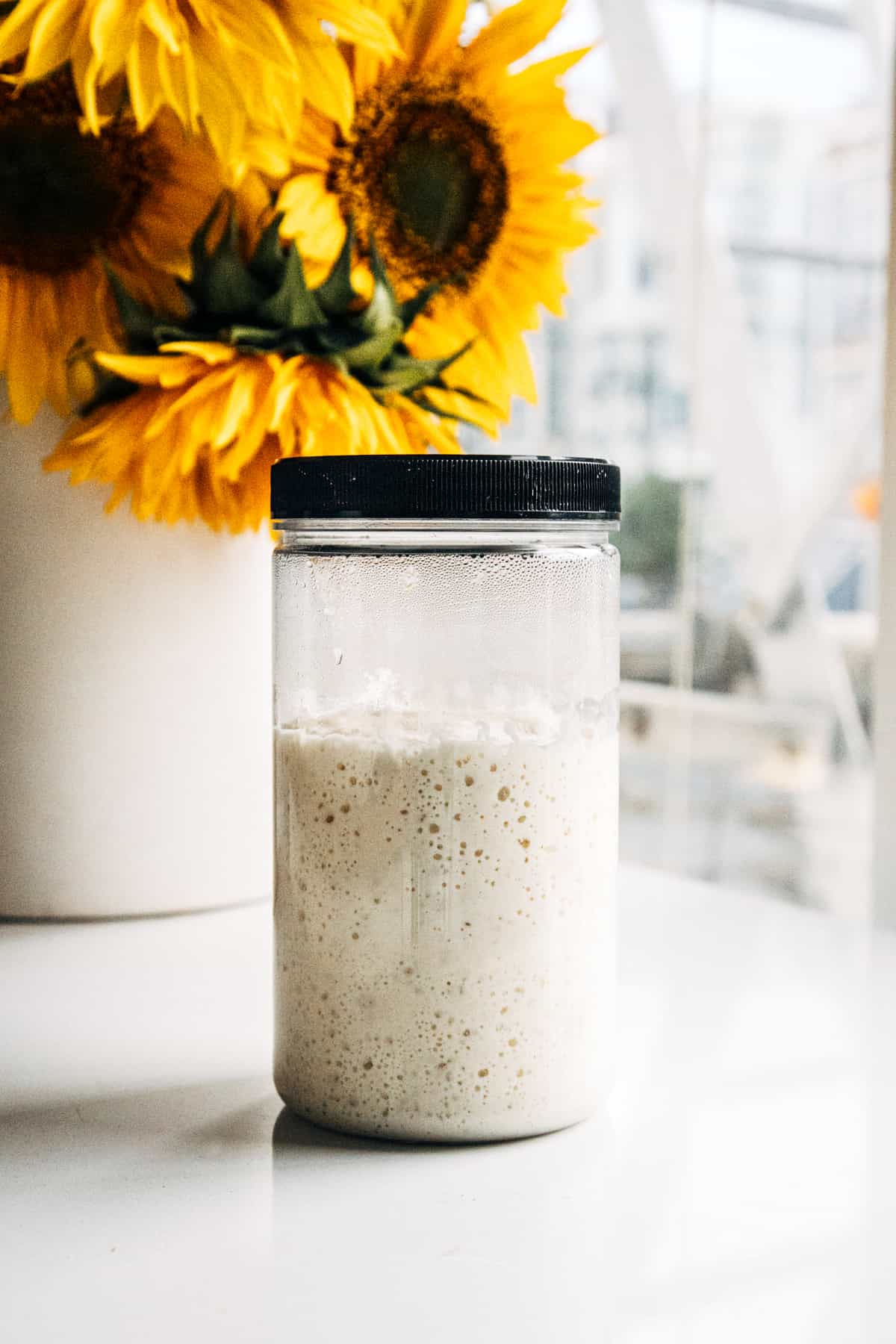 Sourdough Starter in a container.