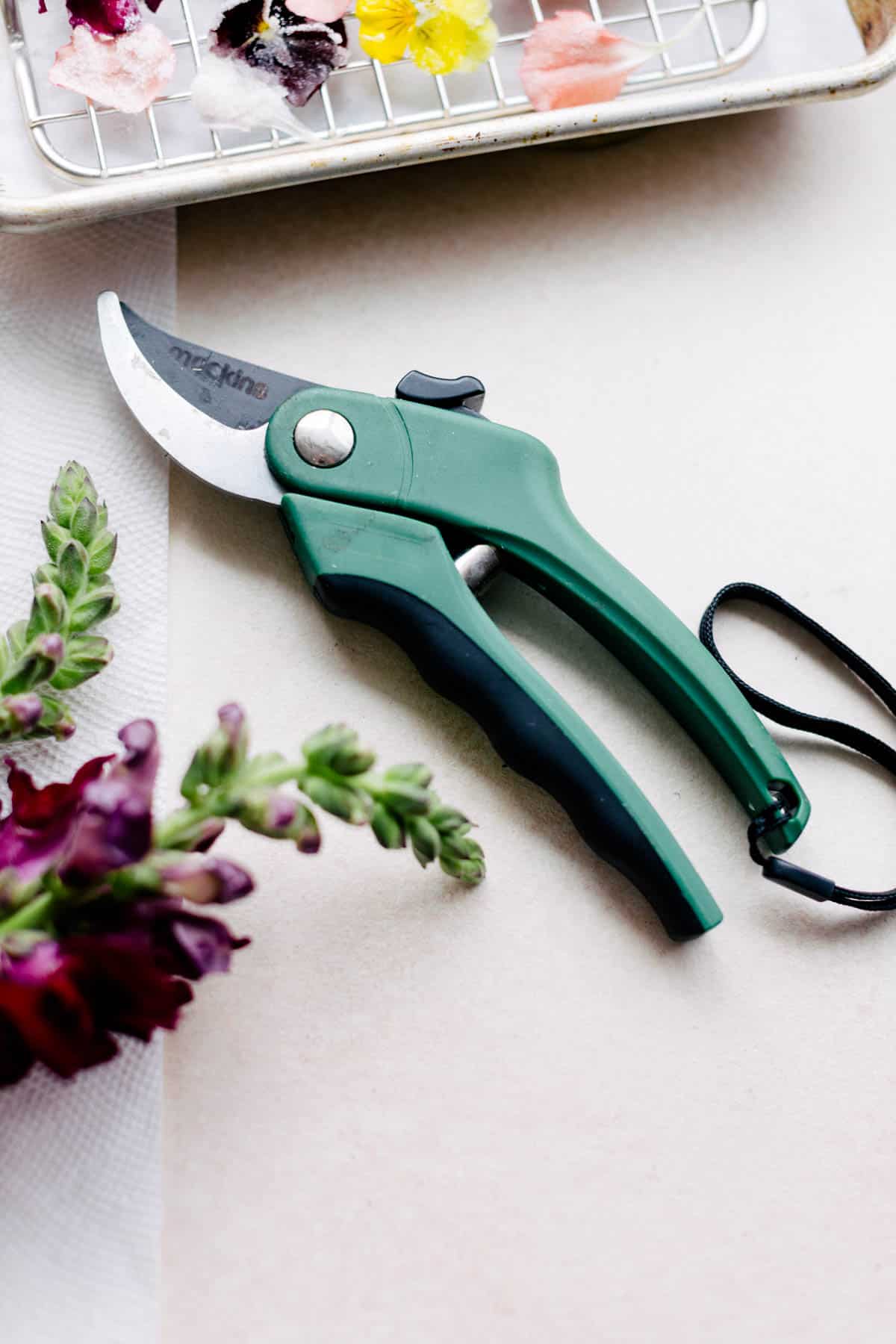 Flower shears next to flowers.