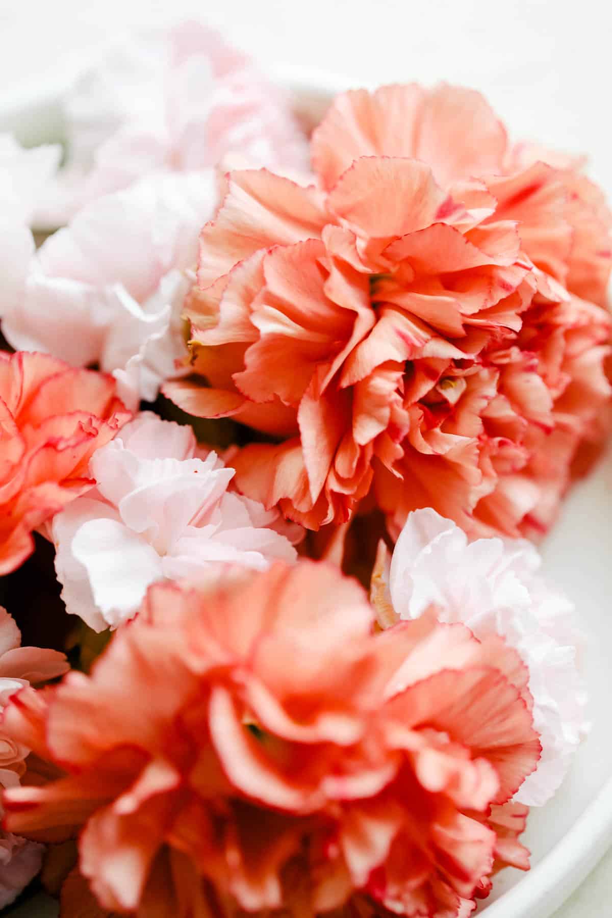 Fresh carnations on a plate.