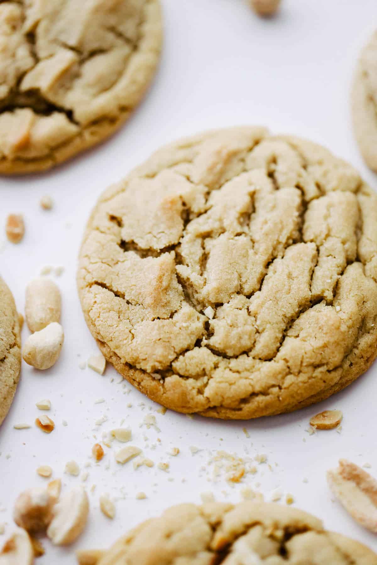 Side view of peanut butter cookies.
